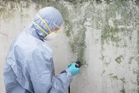 Asbestos and Lead Testing During Mold Inspection in Shenandoah Heights, PA